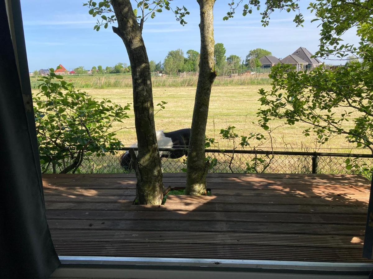 Het Oude Strandhuis Uitgeest Экстерьер фото